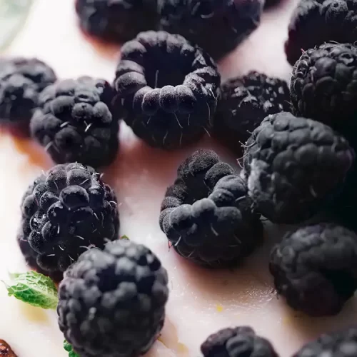 WOODWICK BLACK RASPBERRY VANILLA BEES WAX CANDLE